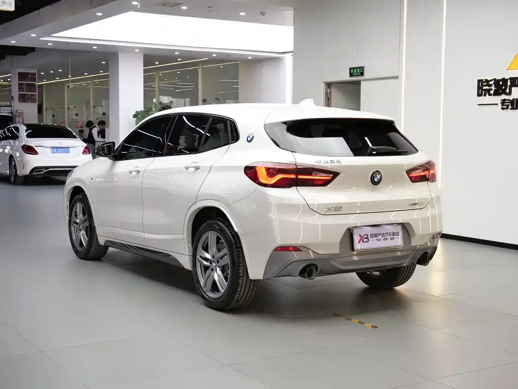 BMW X2 2023 из CN, фото 10