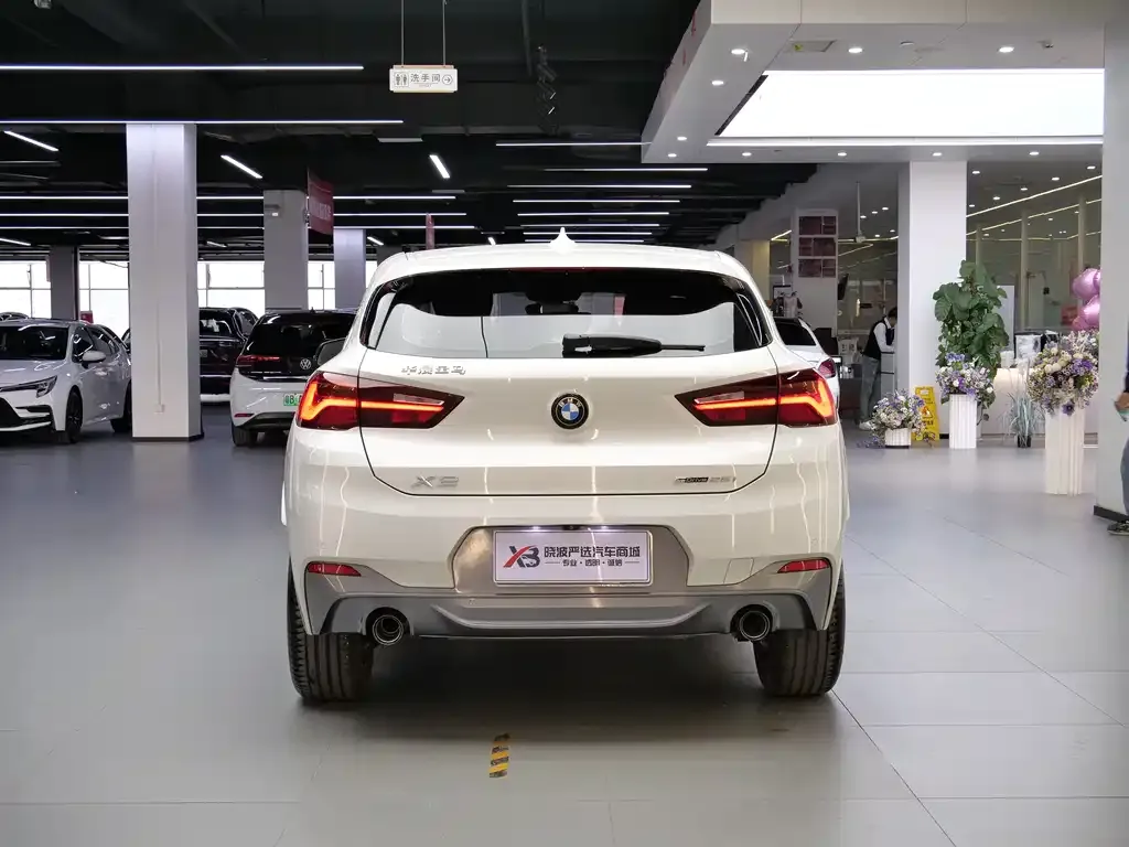 BMW X2 2023 из CN, фото 7