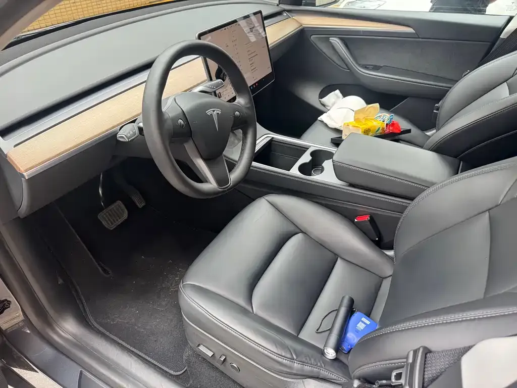 Tesla Model Y 2022 из CN, фото 6