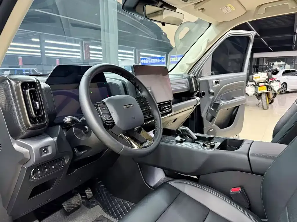 Haval Menglong New Energy 2024 из CN, фото 9