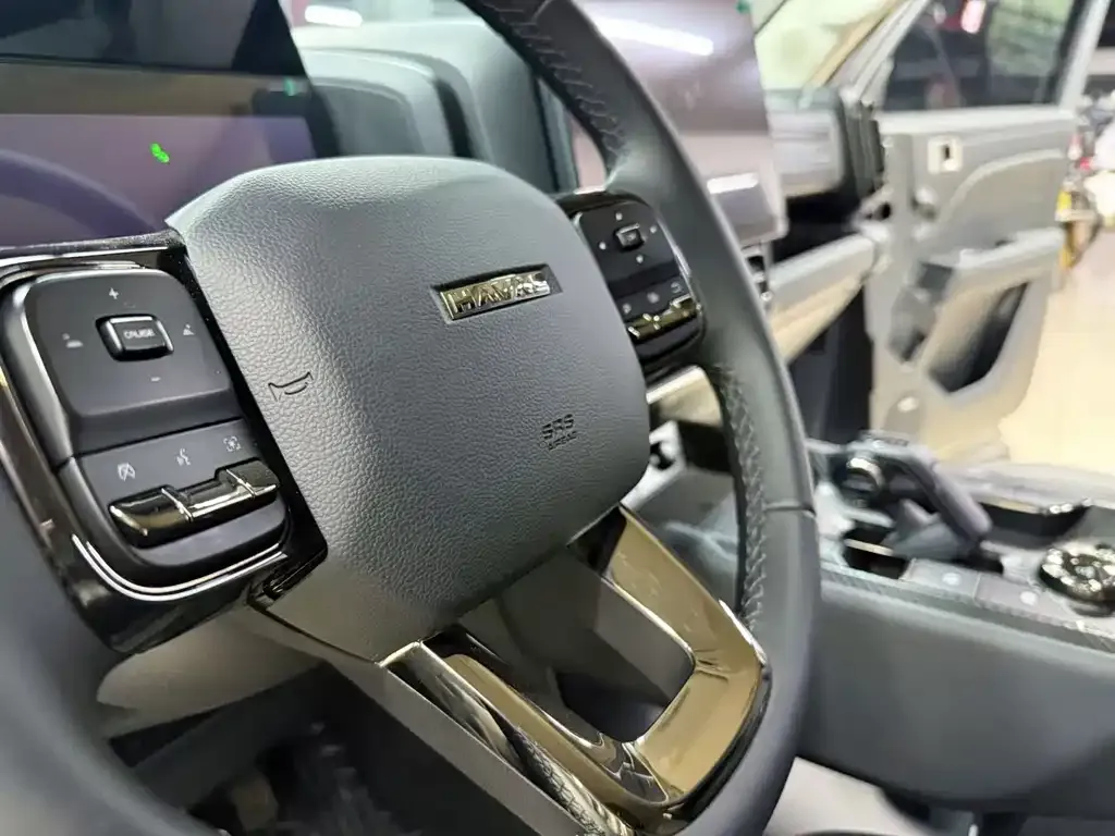 Haval Menglong New Energy 2024 из CN, фото 3
