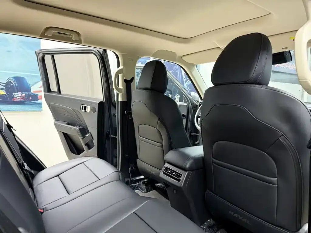 Haval Menglong New Energy 2024 из CN, фото 5