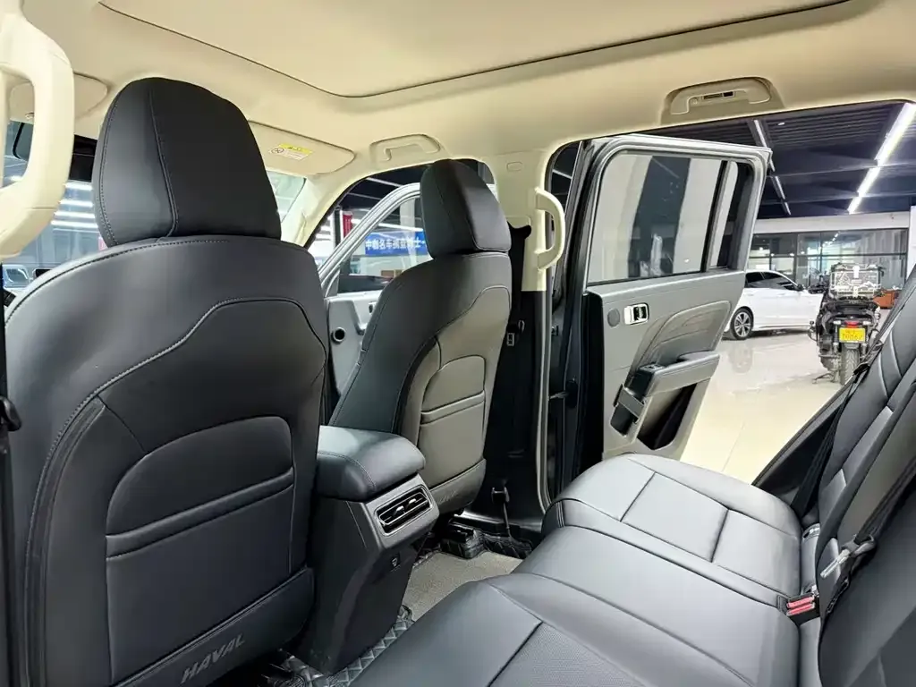 Haval Menglong New Energy 2024 из CN, фото 4