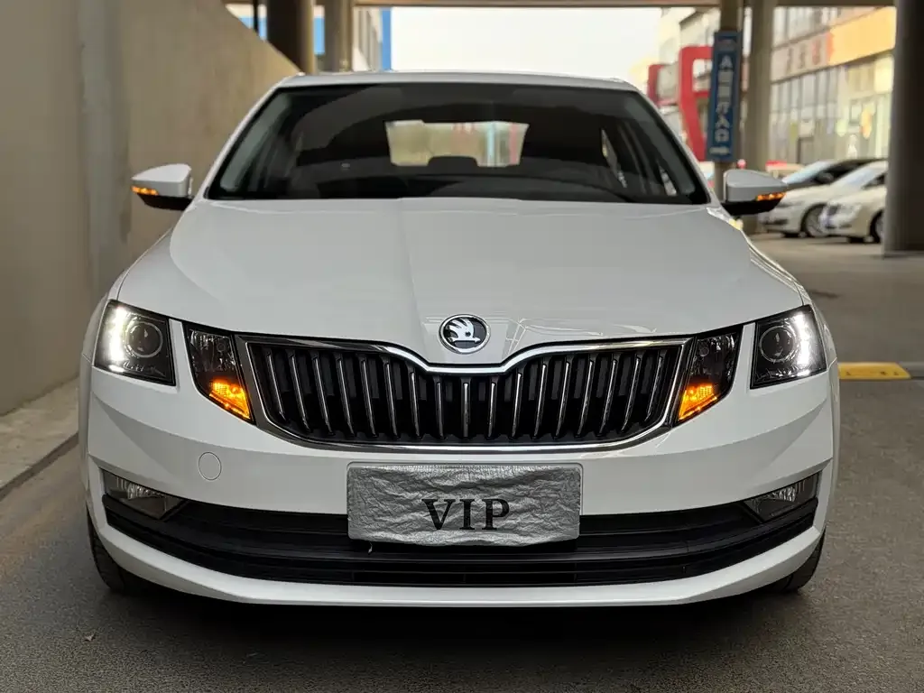 Skoda Octavia 2022 из CN, фото 4