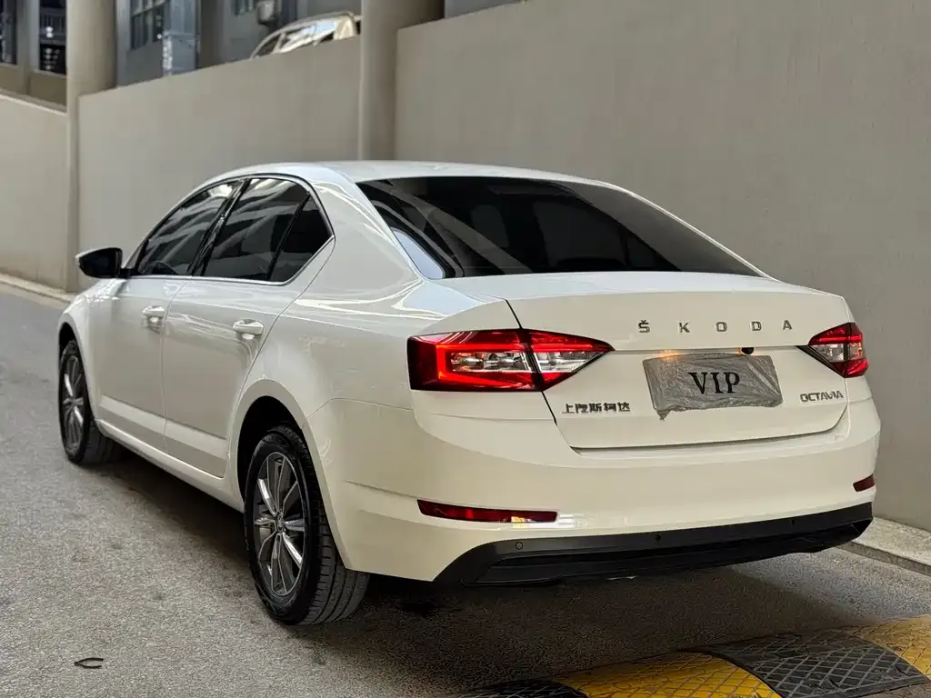 Skoda Octavia 2022 из CN, фото 9
