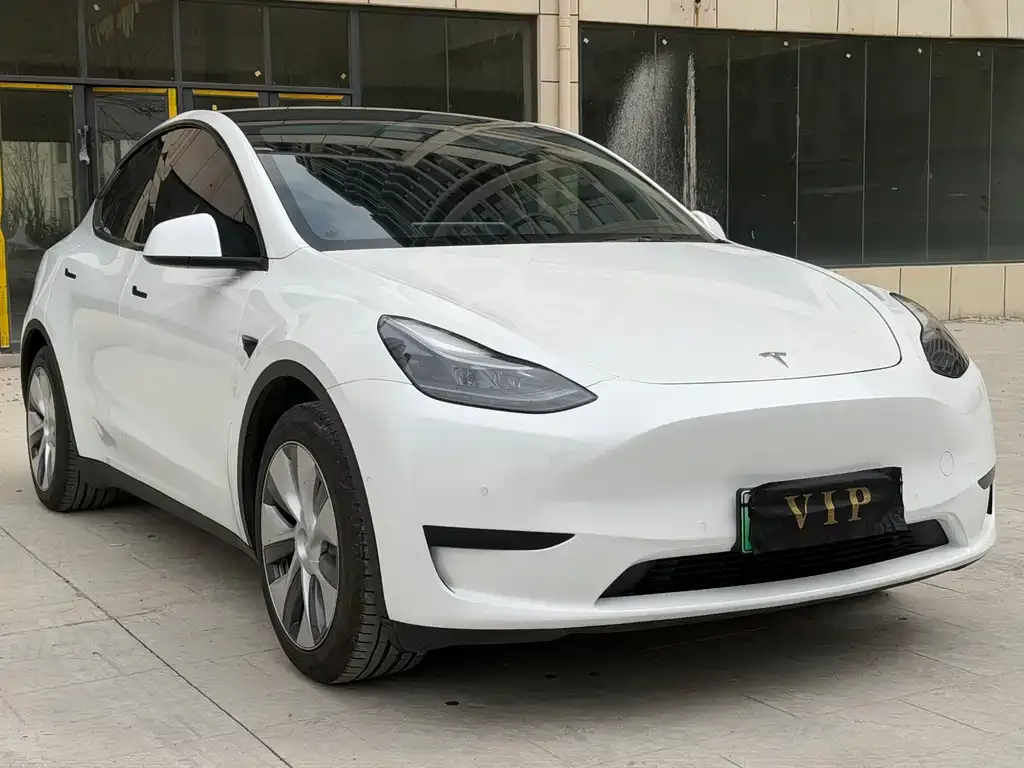 Tesla Model Y 2022 из CN, фото 1