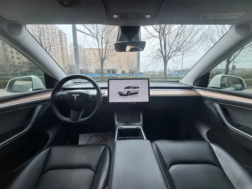 Tesla Model Y 2022 из CN, фото 3