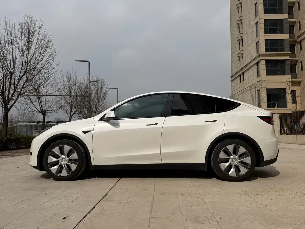 Tesla Model Y 2022 из CN, фото 2