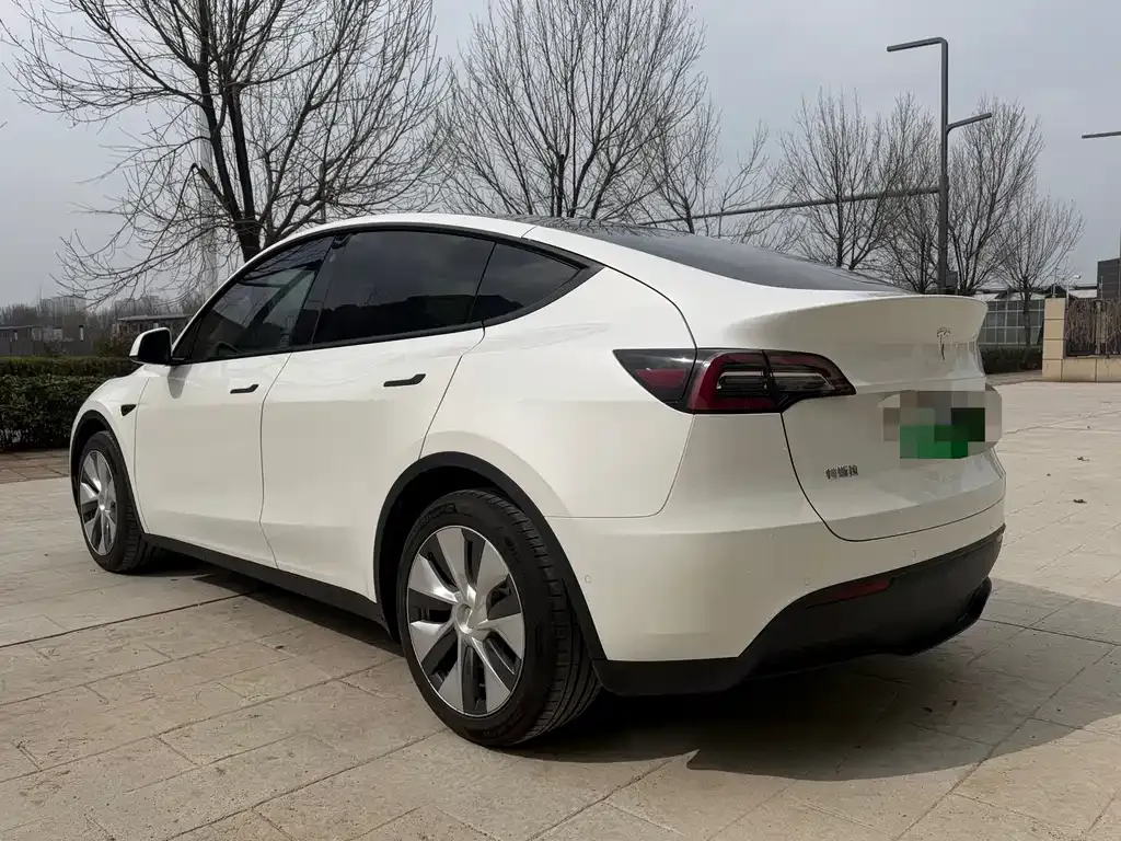 Tesla Model Y 2022 из CN, фото 4
