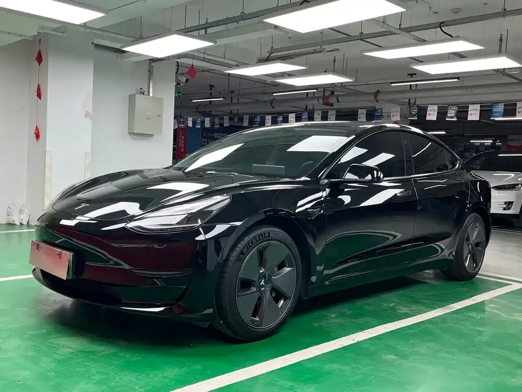Tesla Model 3 2021 из CN, фото 1