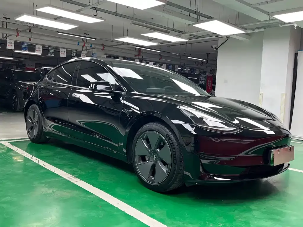 Tesla Model 3 2021 из CN, фото 3