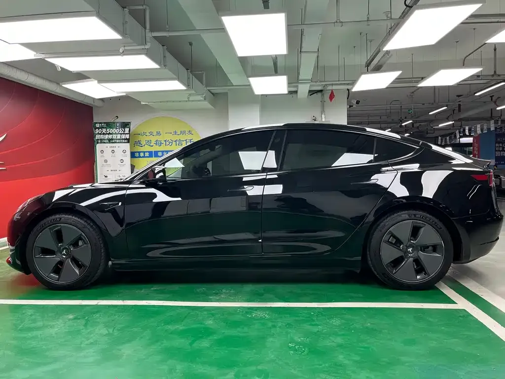 Tesla Model 3 2021 из CN, фото 8