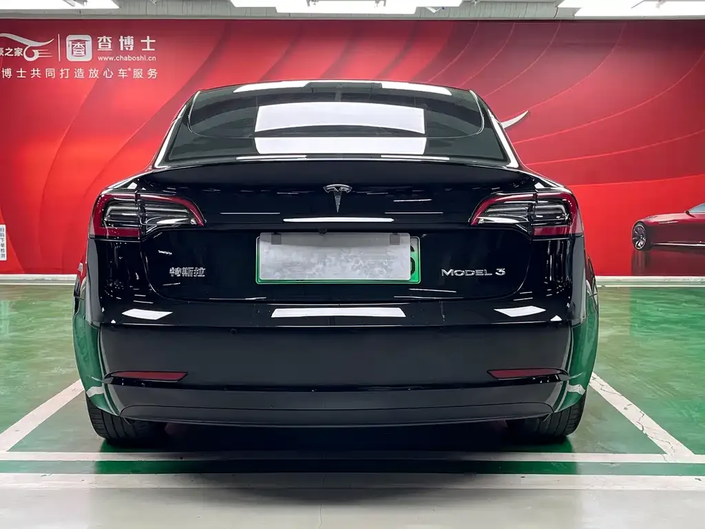 Tesla Model 3 2021 из CN, фото 2