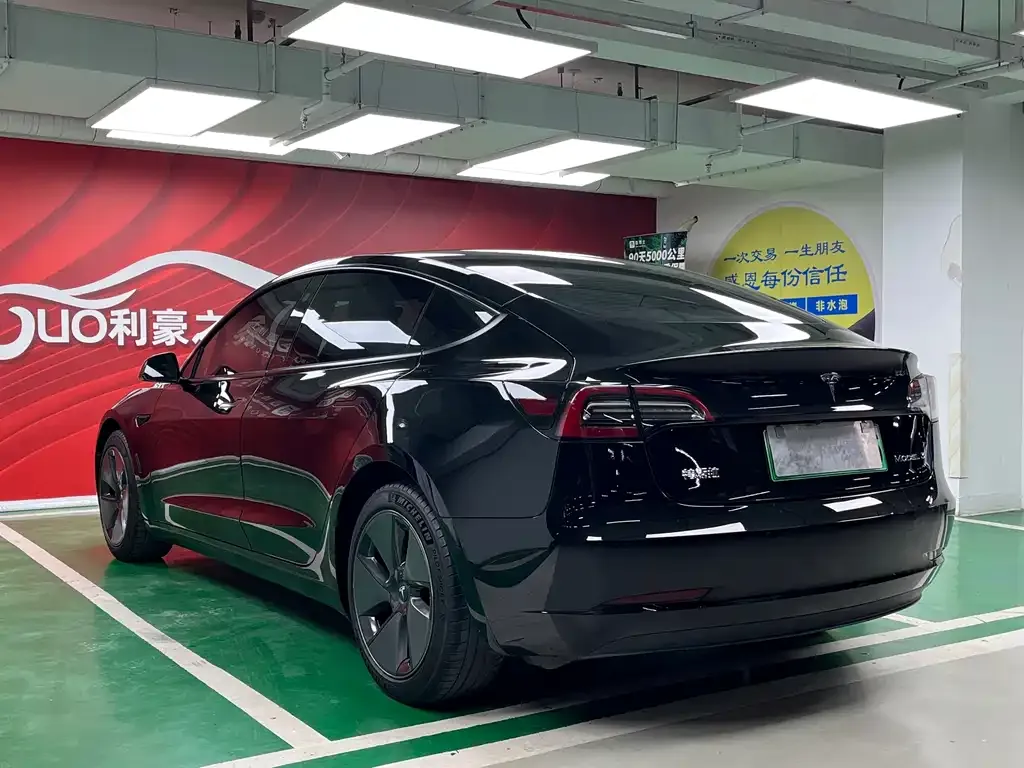 Tesla Model 3 2021 из CN, фото 7