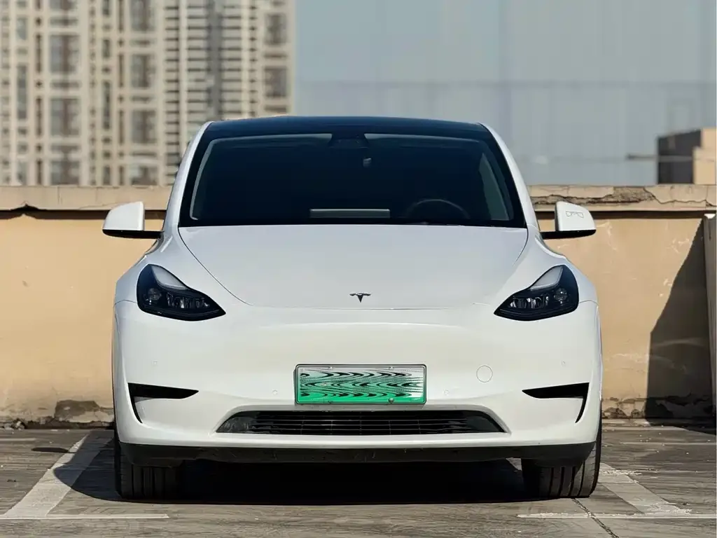 Tesla Model Y — фото 2