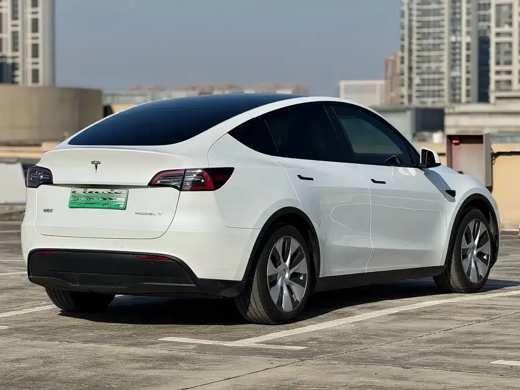 Tesla Model Y — фото 6