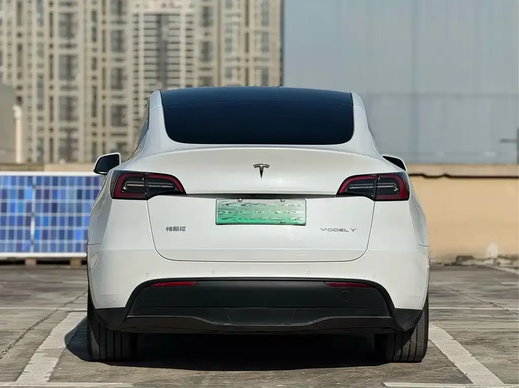 Tesla Model Y — фото 3