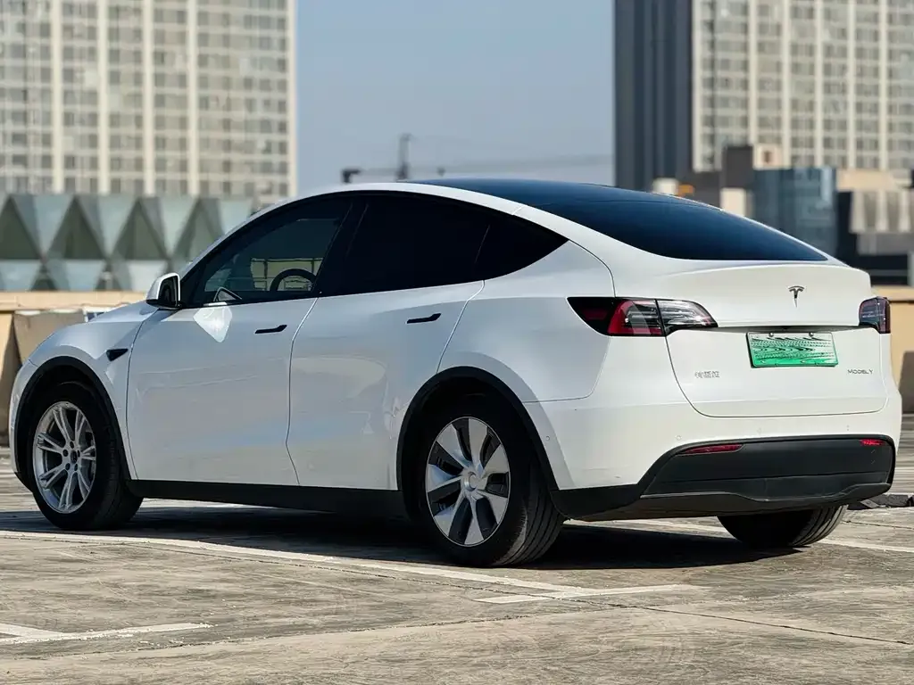 Tesla Model Y — фото 9
