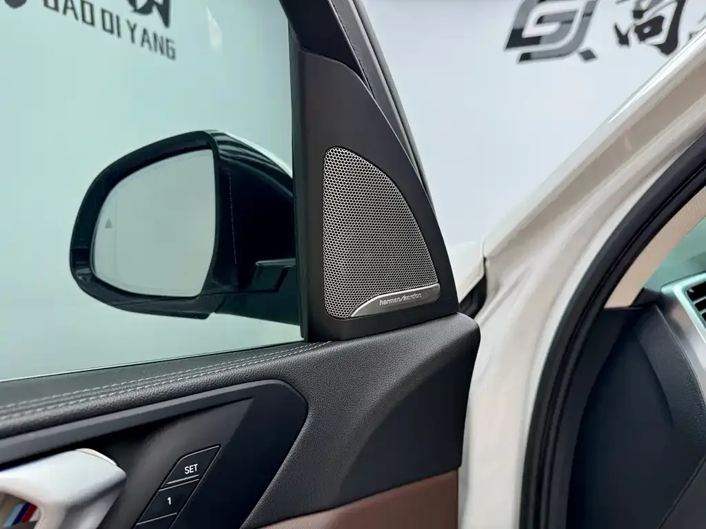 BMW X5 2022 из CN, фото 6