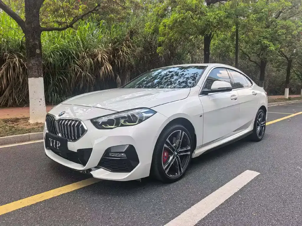BMW 2 Series (Import) — фото 1