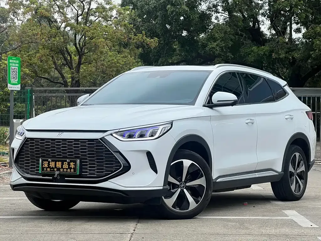BYD PLUS New Energy 2022 из CN, фото 1