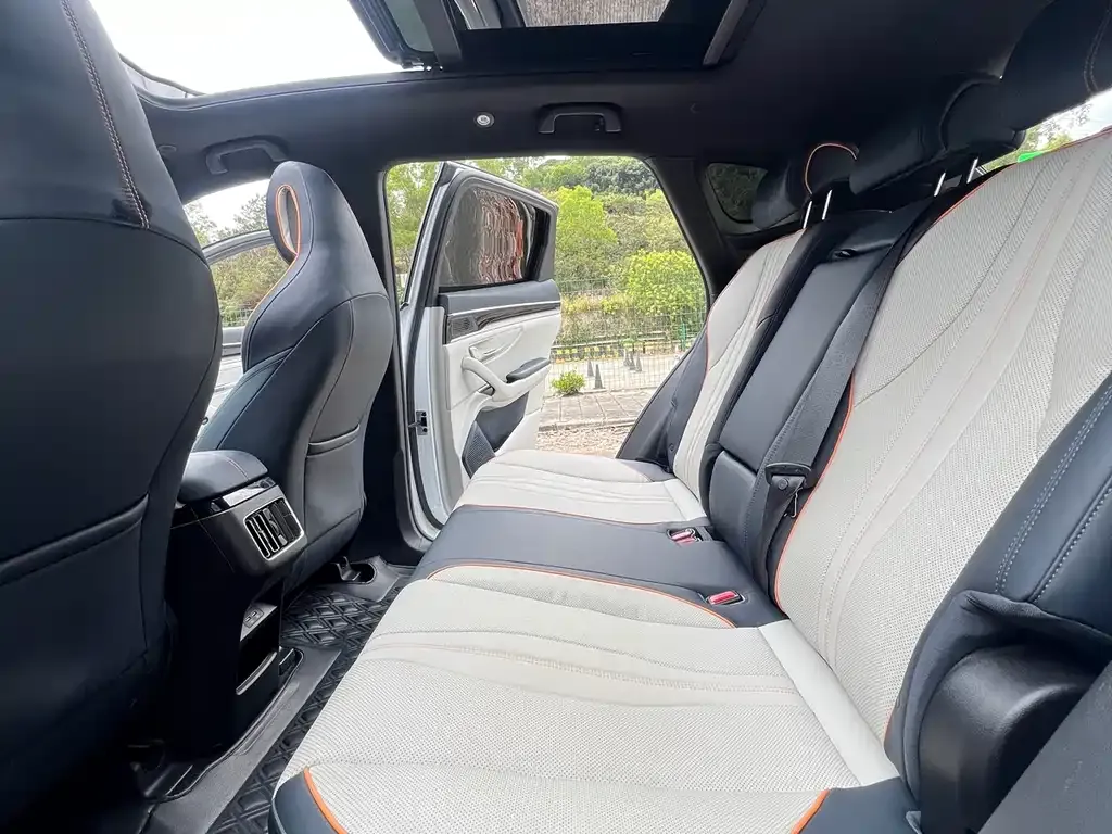 BYD PLUS New Energy 2022 из CN, фото 10
