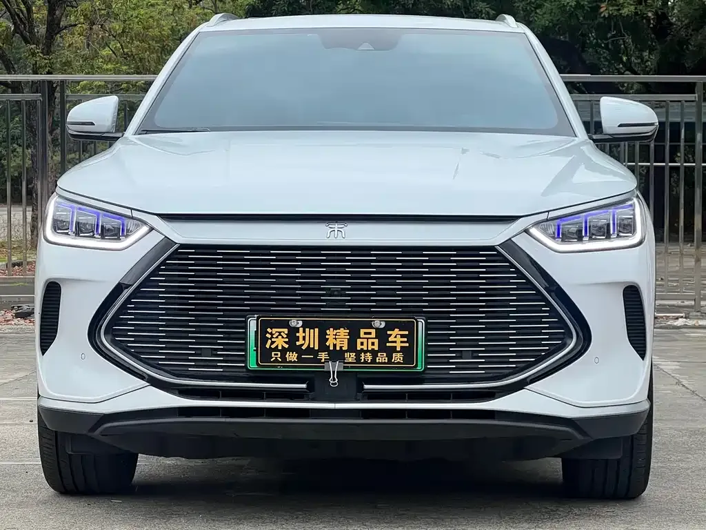 BYD PLUS New Energy 2022 из CN, фото 2