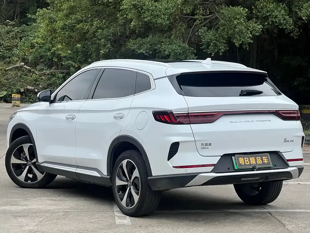 BYD PLUS New Energy 2022 из CN, фото 4