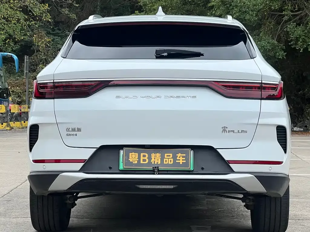 BYD PLUS New Energy 2022 из CN, фото 3
