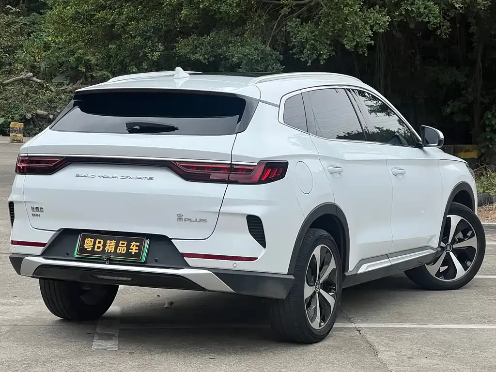 BYD PLUS New Energy 2022 из CN, фото 6