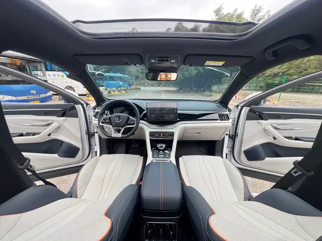BYD PLUS New Energy 2022 из CN, фото 7