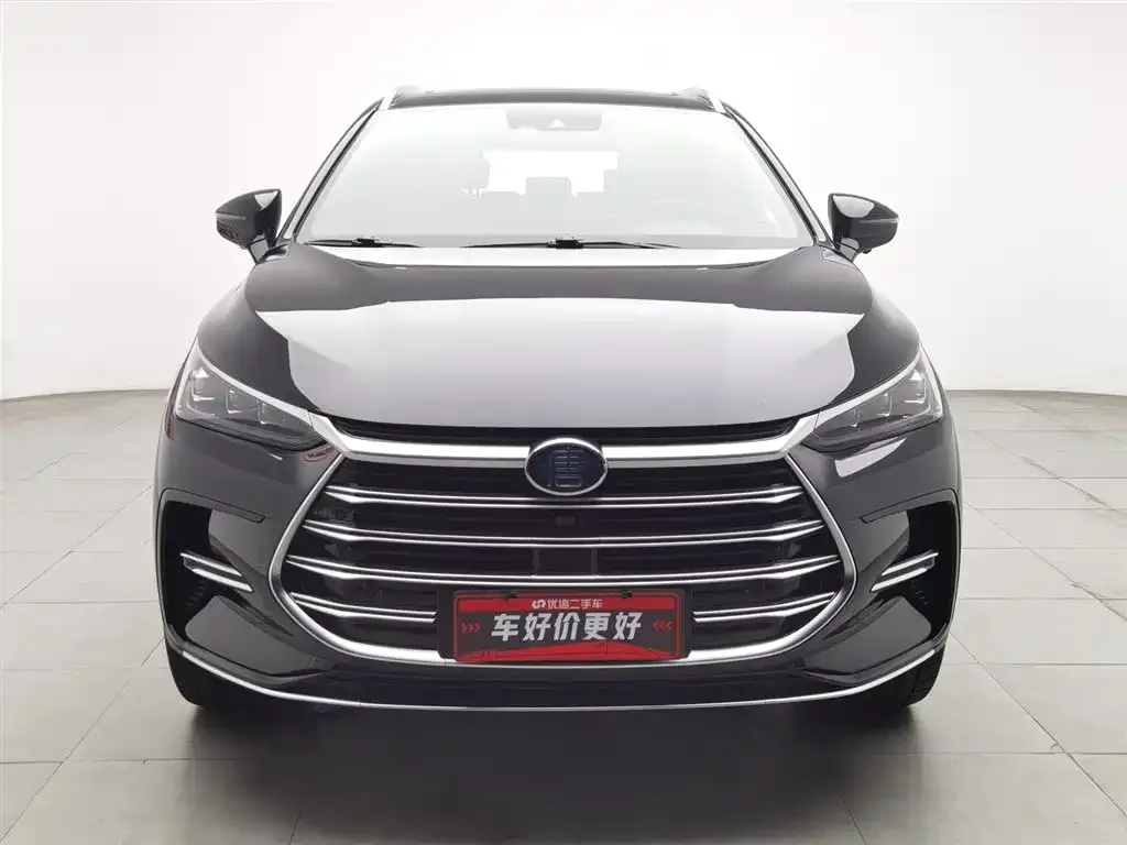 BYD Tang New Energy — фото 7
