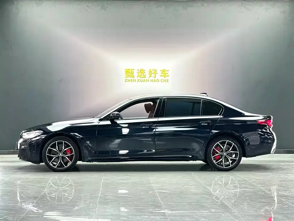 BMW 5 Series 2023 из CN, фото 5