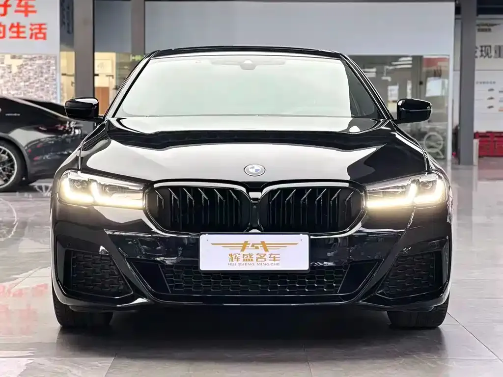 BMW 5 Series 2023 из CN, фото 7