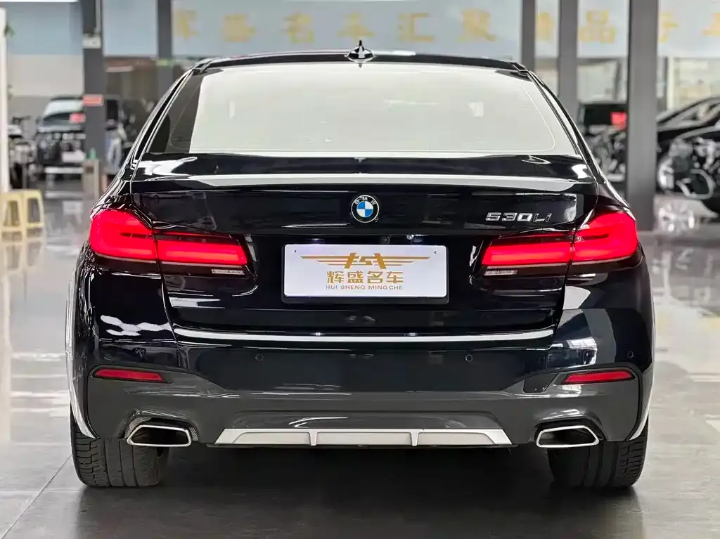BMW 5 Series 2023 из CN, фото 8
