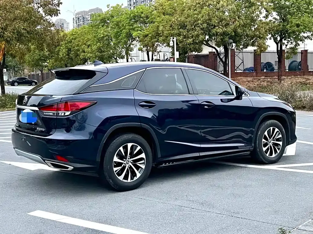 Lexus RX — фото 9