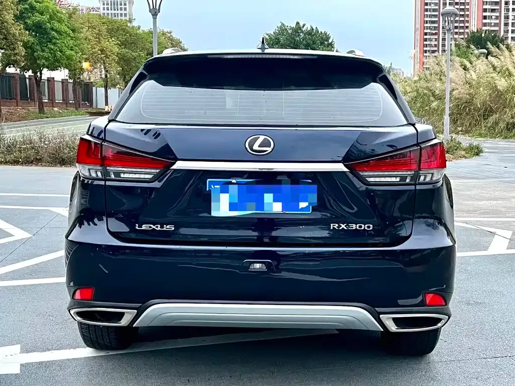 Lexus RX — фото 5