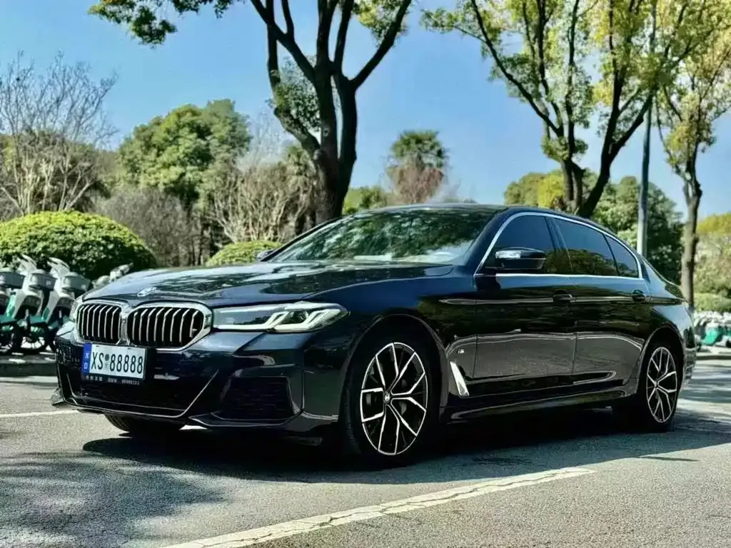 BMW 5 Series 2023 из CN, фото 1