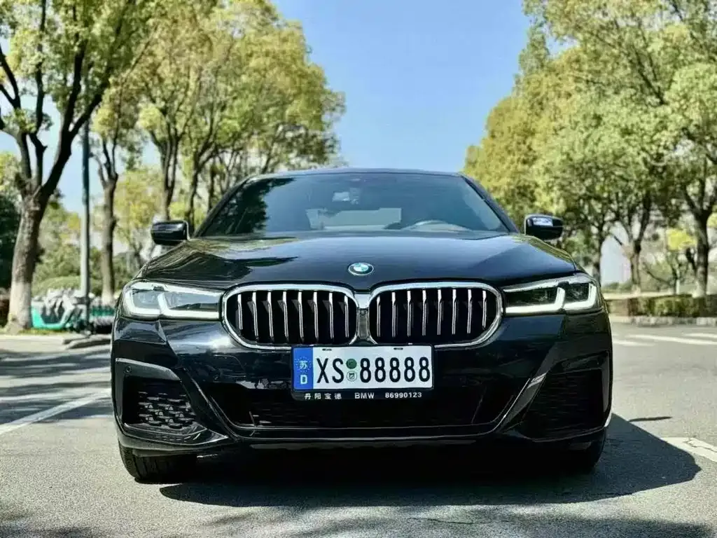 BMW 5 Series 2023 из CN, фото 5