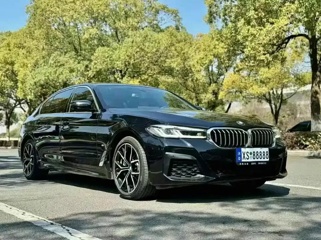 BMW 5 Series 2023 из CN, фото 9