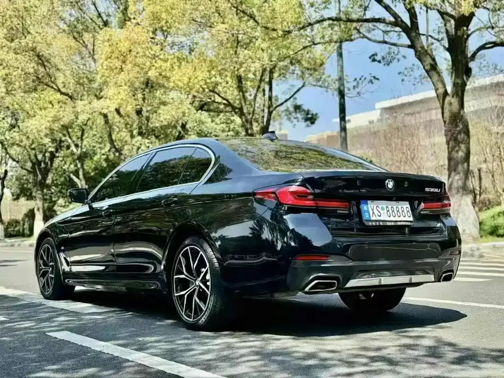 BMW 5 Series 2023 из CN, фото 7