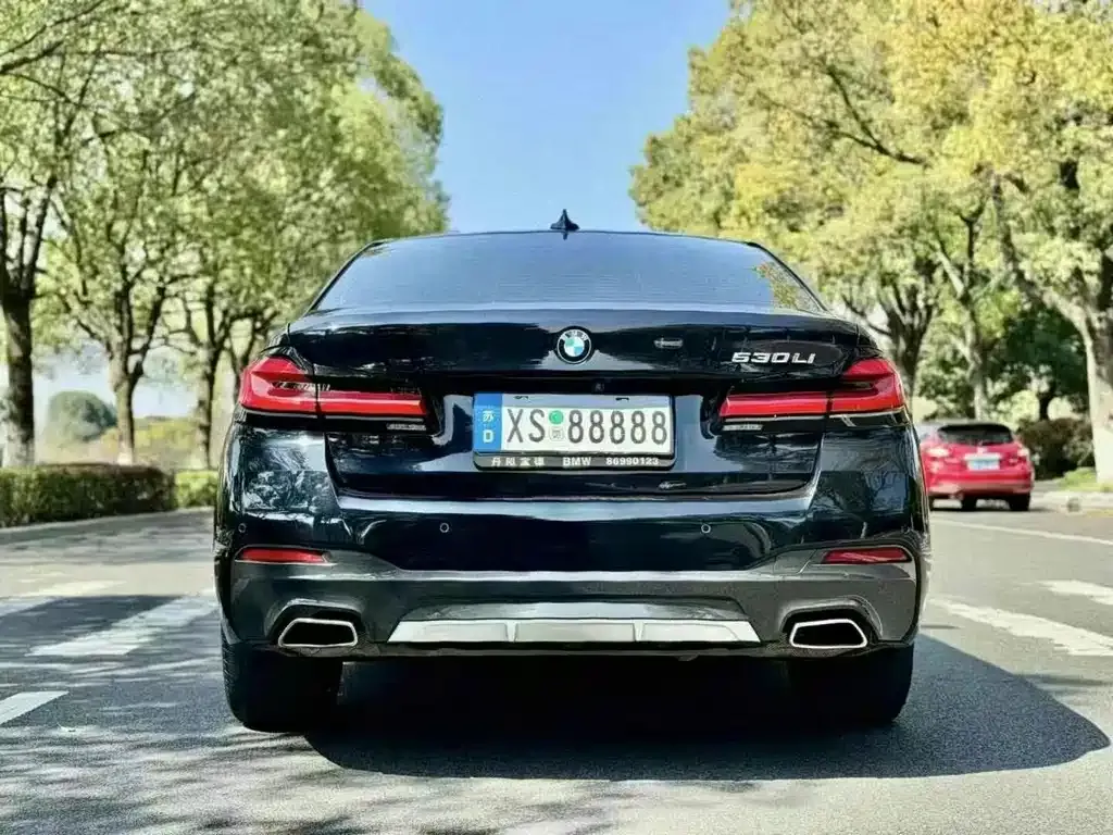 BMW 5 Series 2023 из CN, фото 6