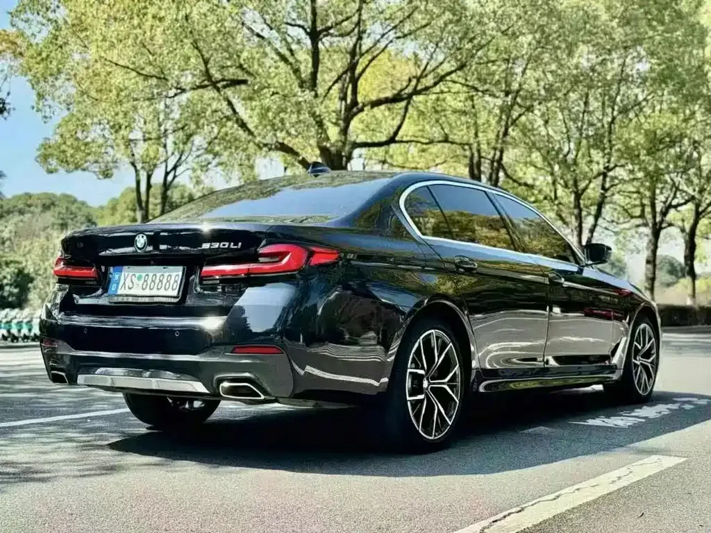 BMW 5 Series 2023 из CN, фото 8