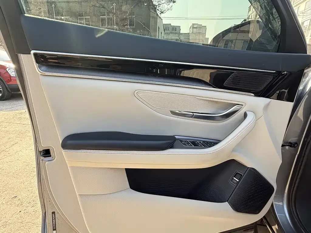 BYD PLUS New Energy 2024 из CN, фото 9