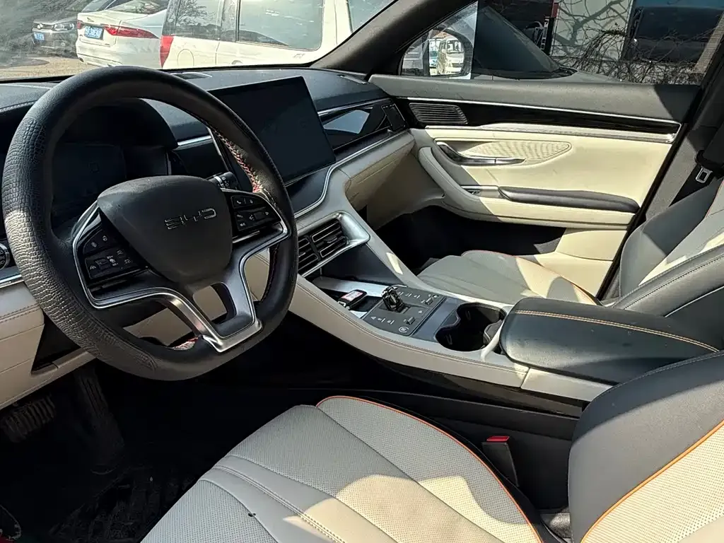 BYD PLUS New Energy 2024 из CN, фото 8
