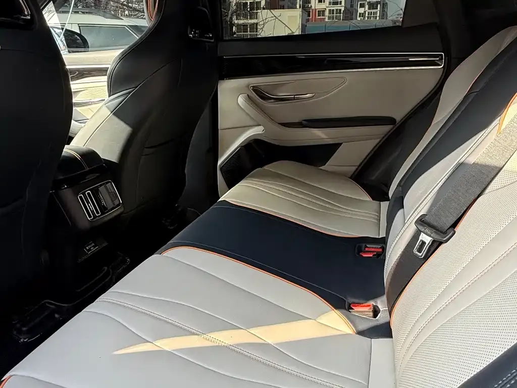 BYD PLUS New Energy 2024 из CN, фото 2