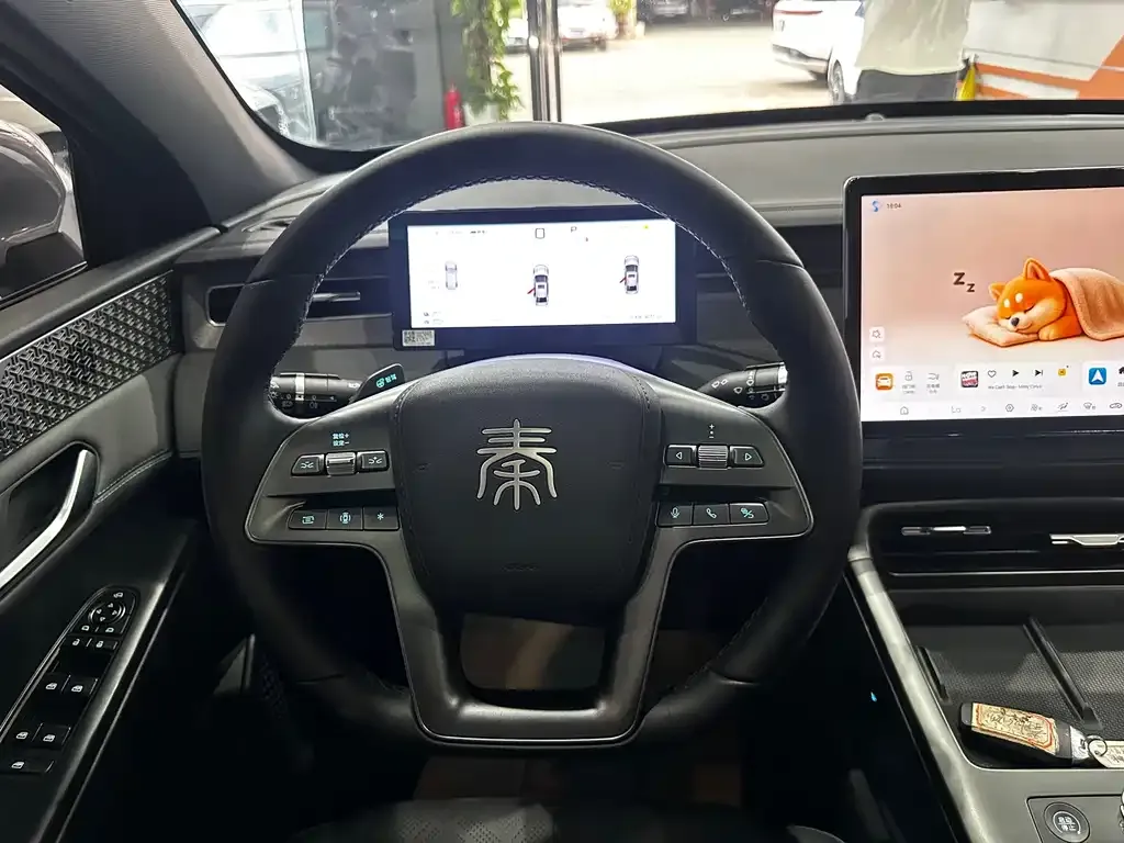 BYD Qin PLUS 2025 из CN, фото 5