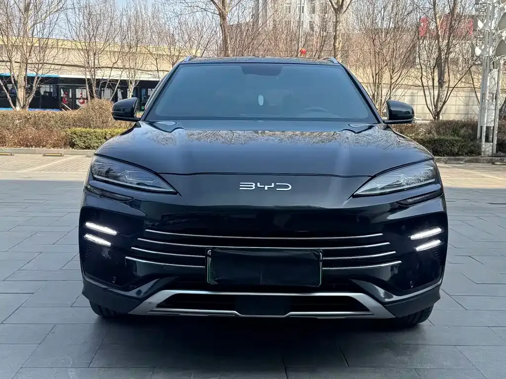 BYD PLUS New Energy 2024 из CN, фото 8