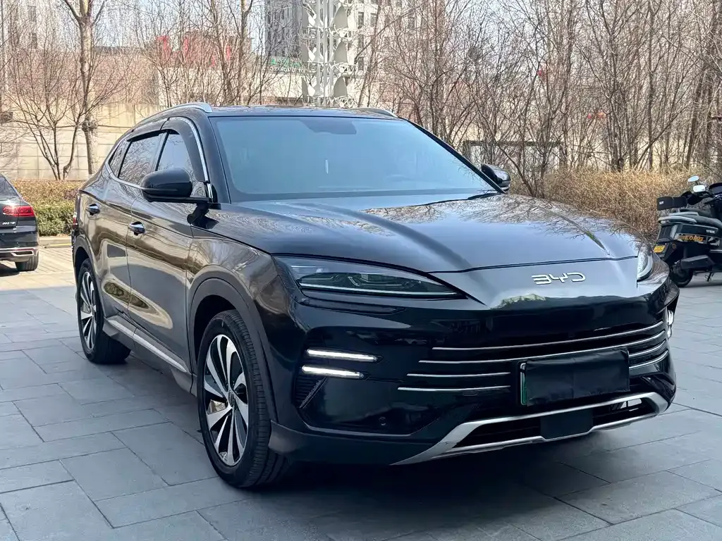 BYD PLUS New Energy 2024 из CN, фото 6