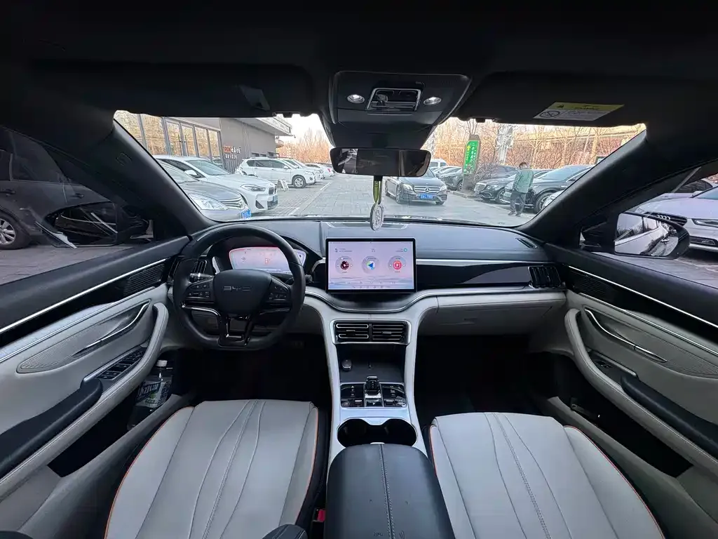 BYD PLUS New Energy 2024 из CN, фото 2